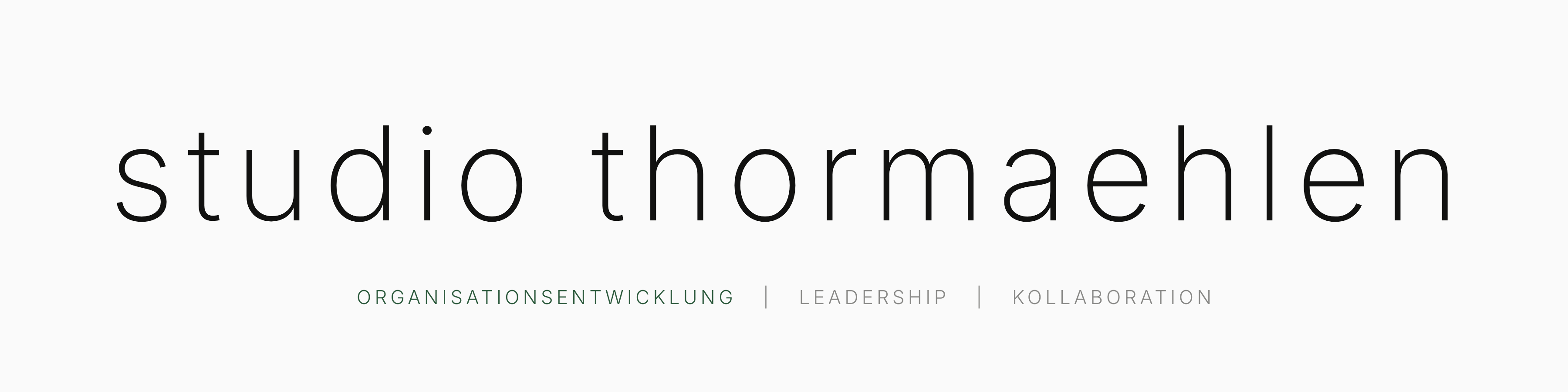 Logo studio thormaehlen